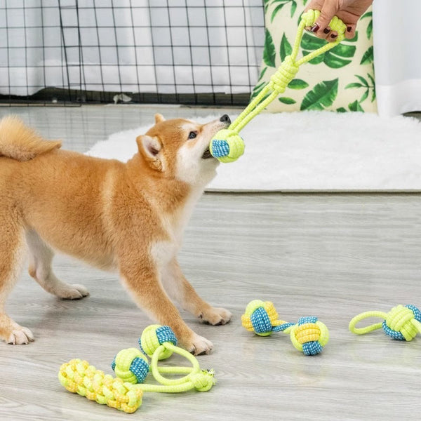 Hundespielzeug - Tug & Play Rope Ball