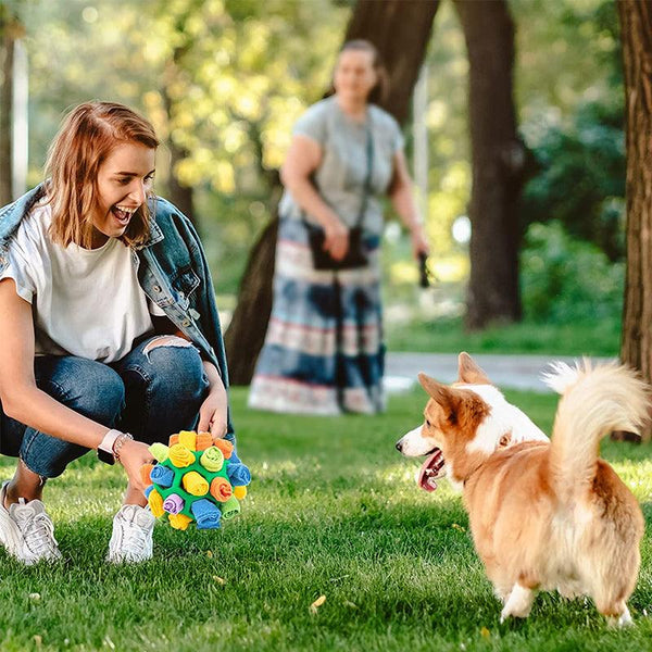 Interaktives Hundespielzeug - SnuffleFun